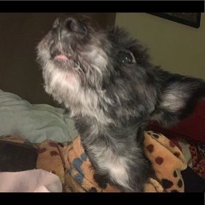 Meet your Posher, Marisa